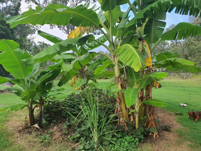 [Thumbnail for 20240401_171142.jpg]