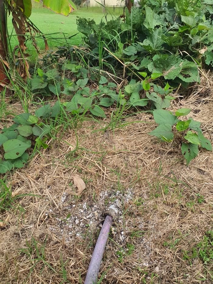 [Thumbnail for 20240401_171212.jpg]