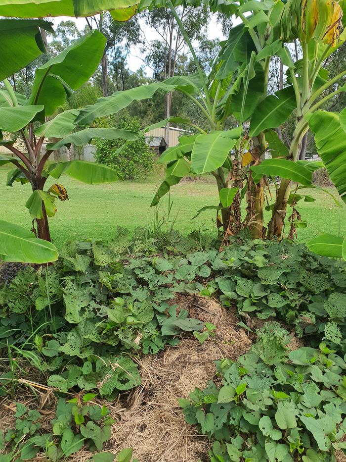 [Thumbnail for 20240401_171234.jpg]