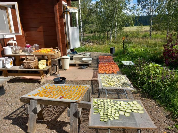 drying outside of the jouse