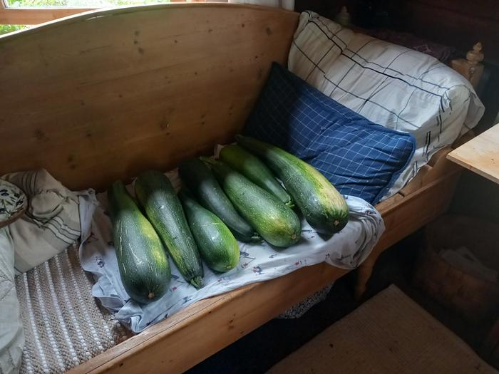 veggies waiting to be processed again the couch is occupied, as are all other tables