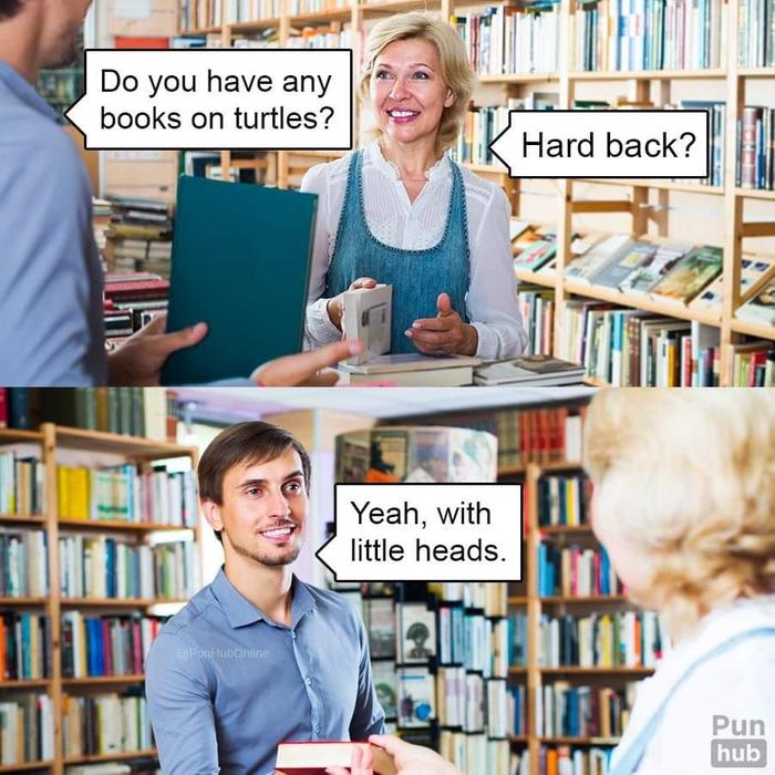 books on turtles?