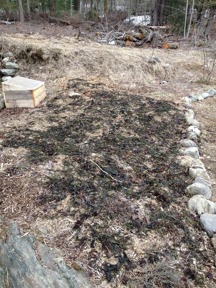 [Thumbnail for Herb-Garden.JPG]