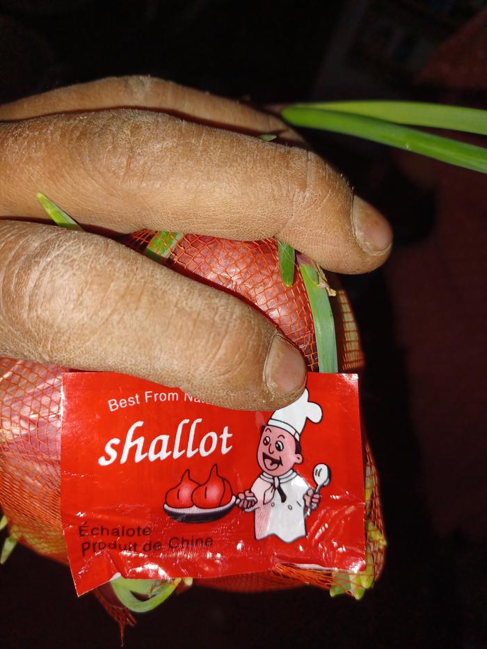 Plants is food/food is plant