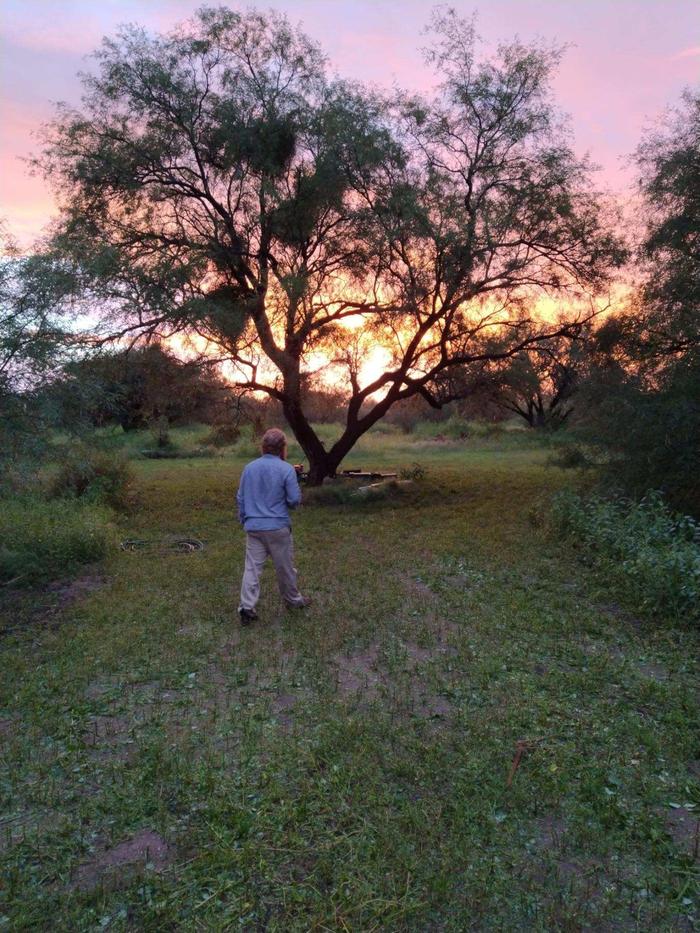 [Thumbnail for 51798.jpeg]