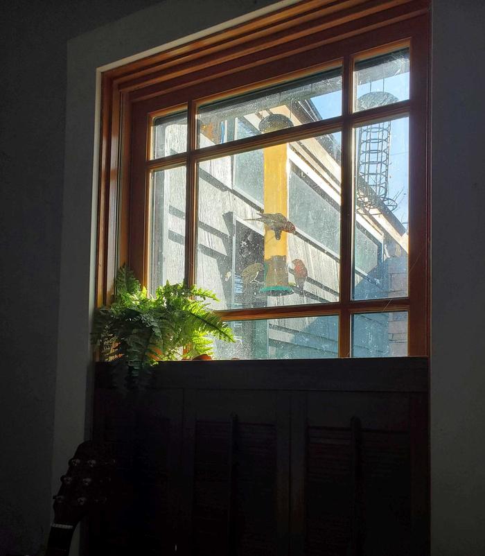 Partially insulated window