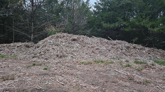 big pile of shredded wood