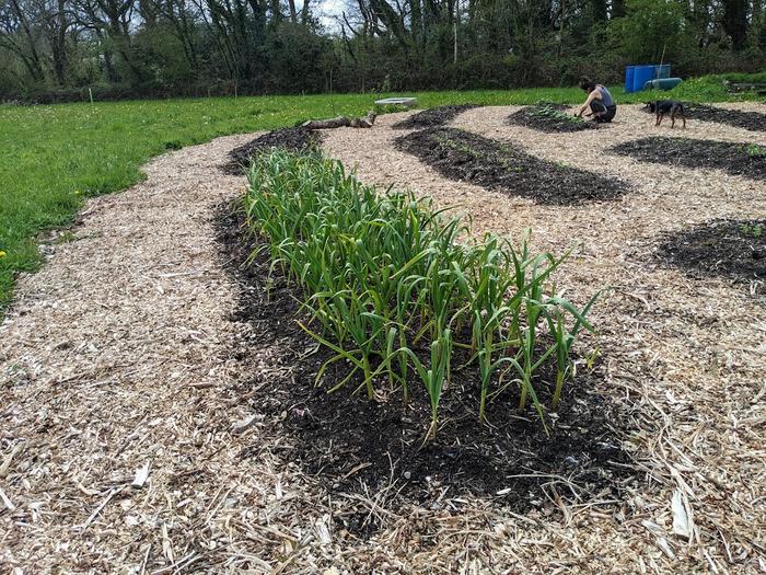 garden beds between deep paths of wood chip mulch