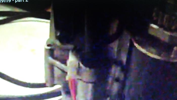 [Thumbnail for DSC01943.JPG]