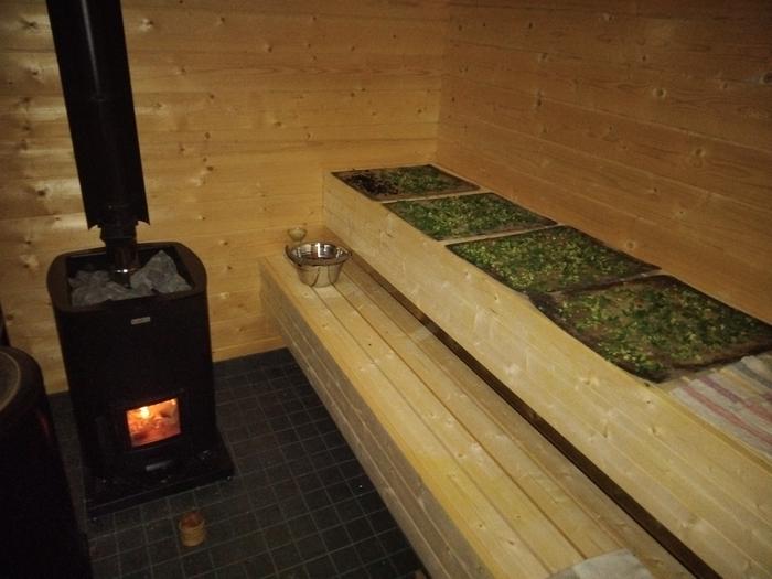 drying mushrooms and celery