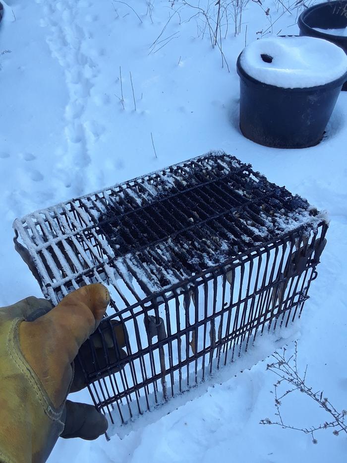 SPARK ARRESTOR