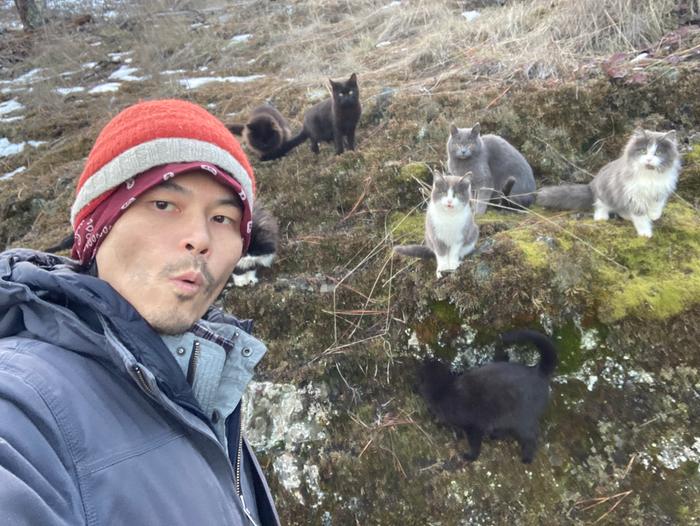 Just on a walk with some furry friends
