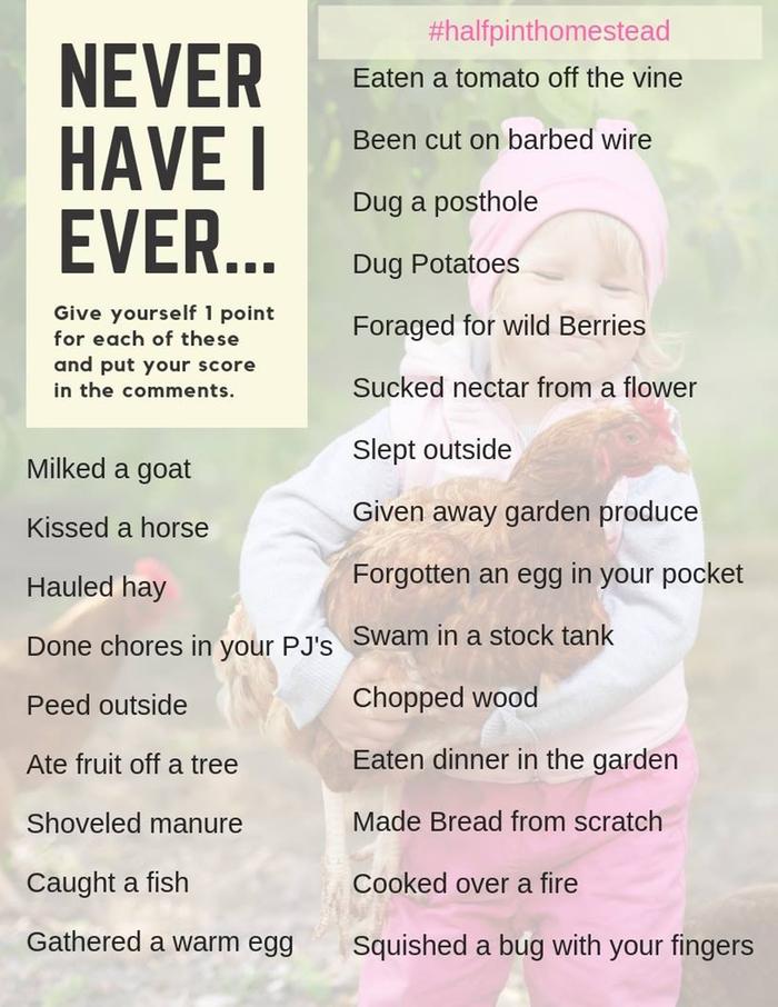 Never have I ever Homesteading game