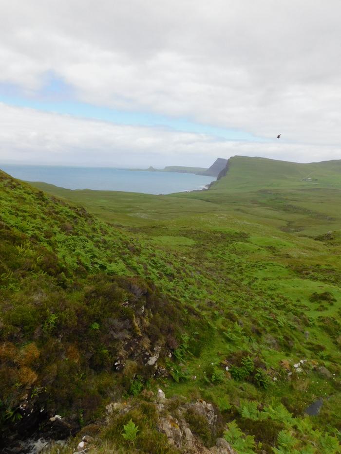 Green shielings overlooking the Minch