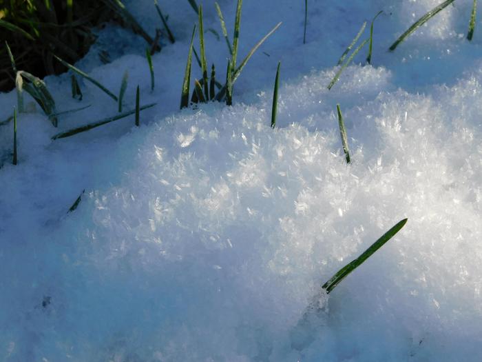 sunshine on snow