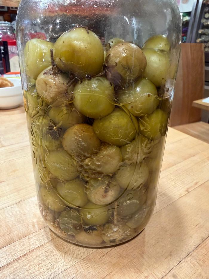 They’ve been here for five months or more