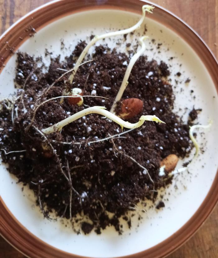 [Thumbnail for IMG_20251226_131718_038-2.jpg]