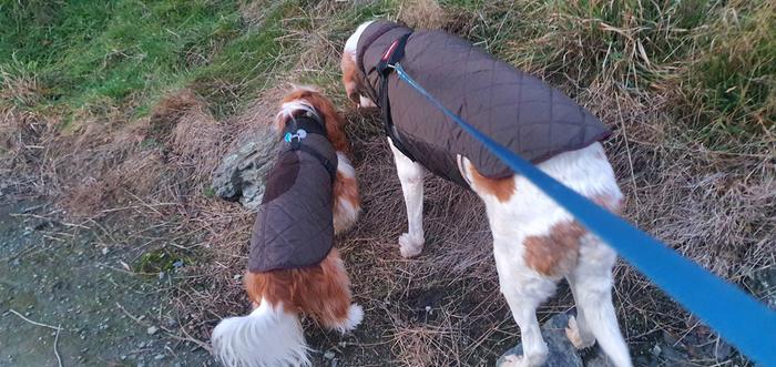 Modelling the jackets