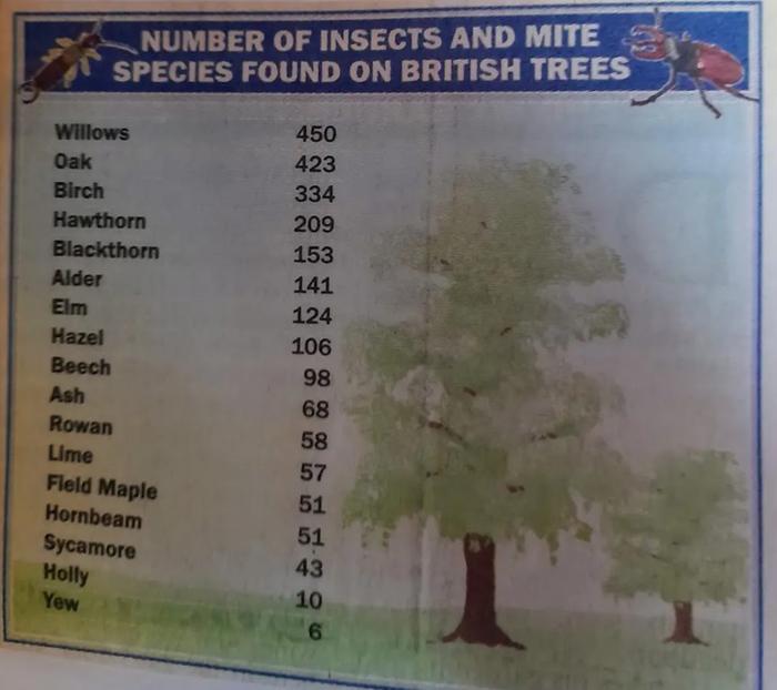 [Thumbnail for insects-tree.jpg]