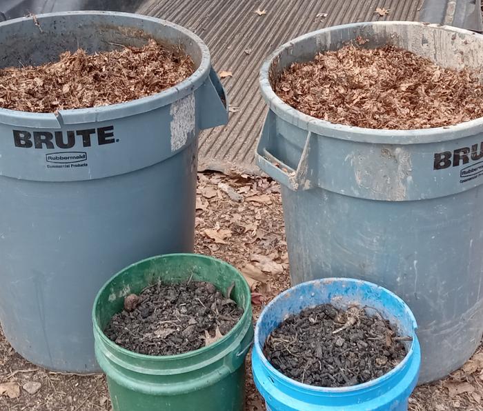 Making compost with oak leaves and biochar