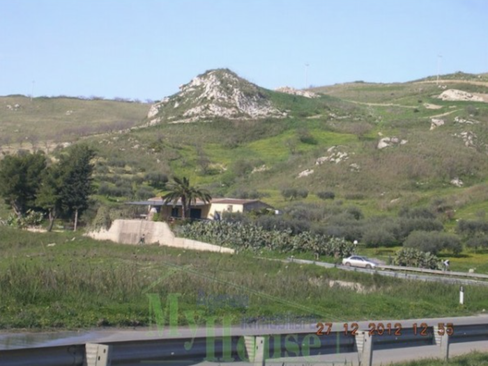 olive trees and a bunch of various fruit and nut trees including pear, lemon, almonds, pomegranate