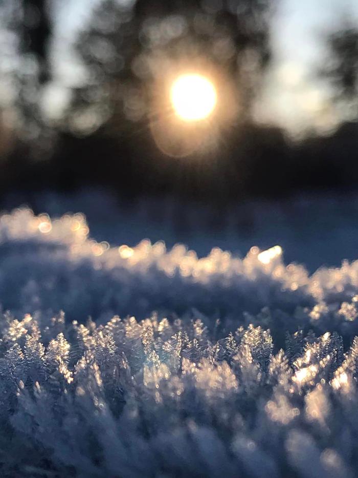 ice crystals at sunrise