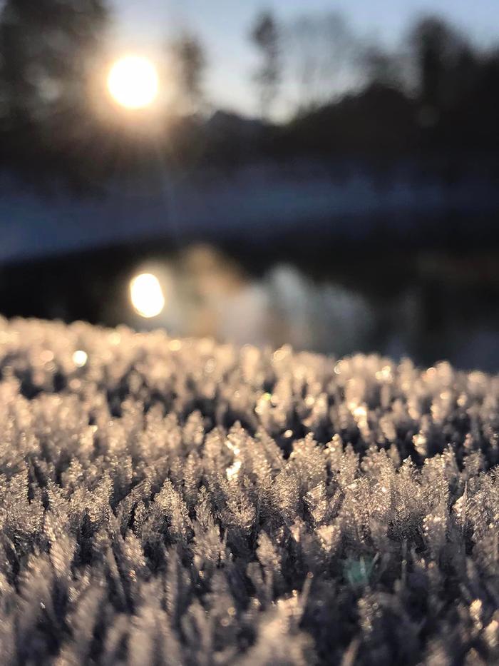 ice crystals at sunrise
