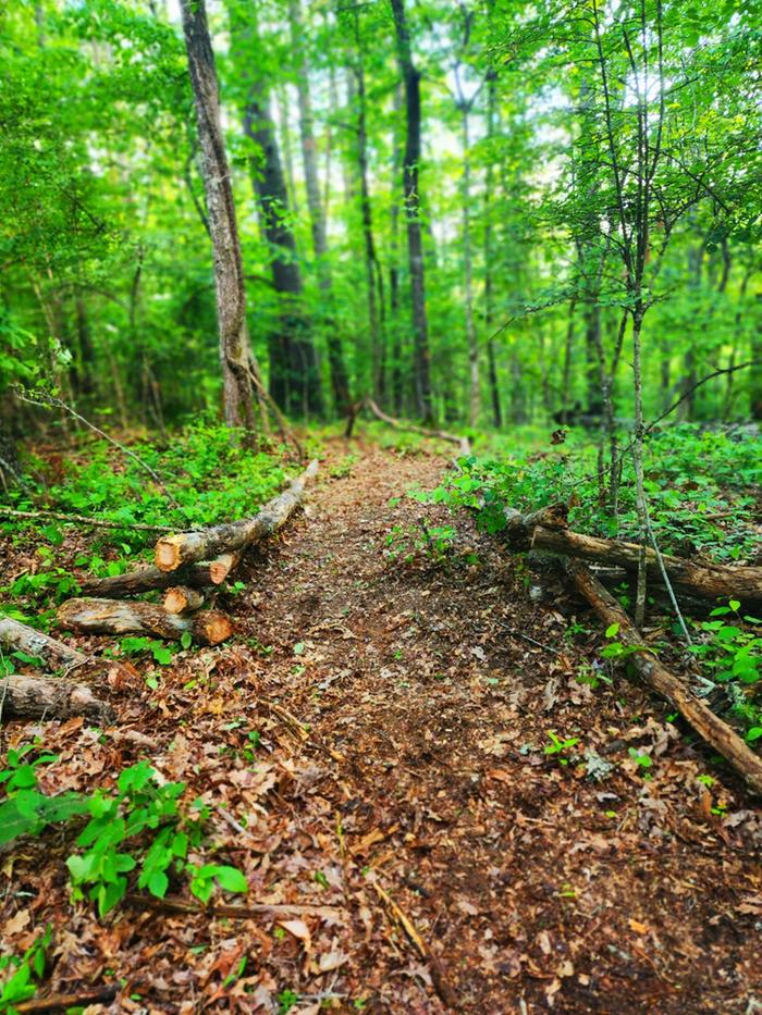 Homesteading opportunity in North Carolina