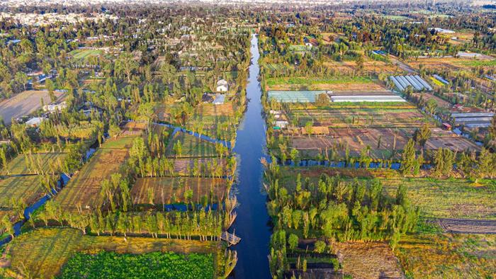 What the Chinampas will look like in the future!