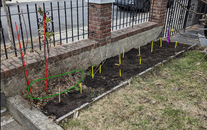 edible planting plan for urban yard