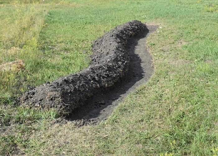 Swale near the driveway in the berry patch