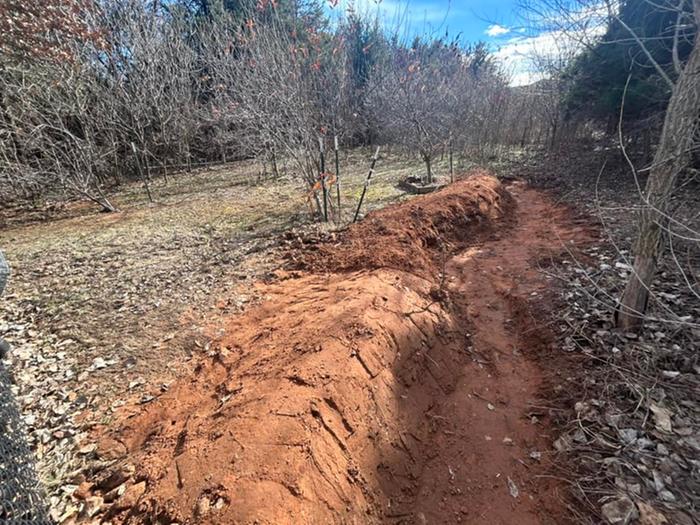 new dug swale through trees water retention clay soil