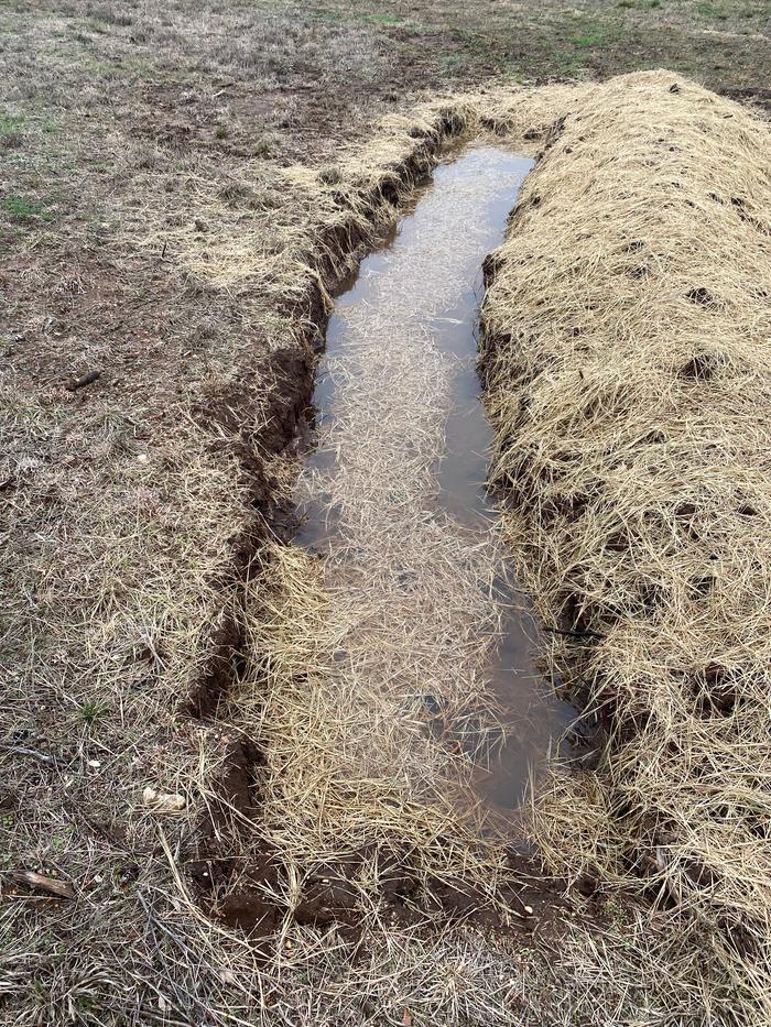 newly planted swale holding rain water