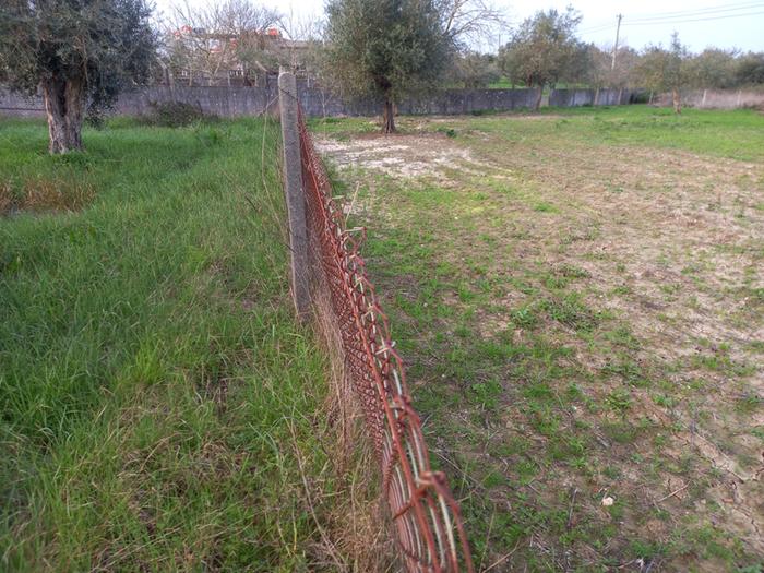 [Thumbnail for ea645e86-2e14-4ddc-aeae-a243d419a39b.jpg]