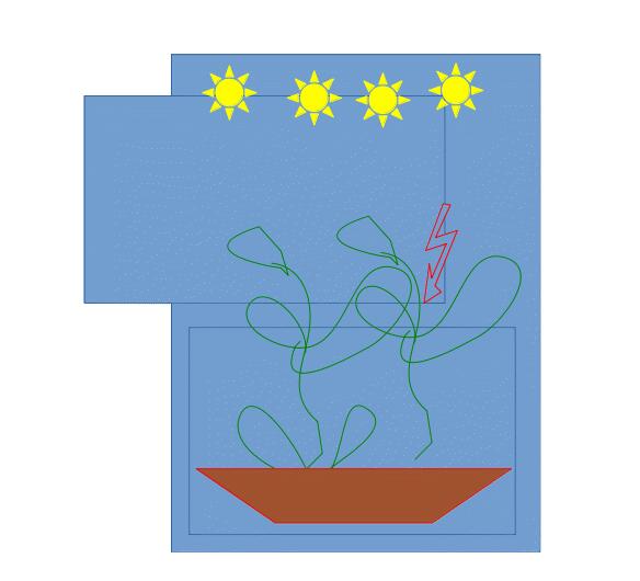 plants in filing cabinet rough sketch