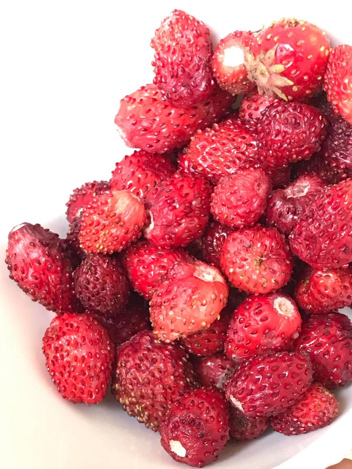 [Thumbnail for Wild-strawberries-.jpeg]