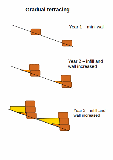 Filename: slow-terracing.jpg
Description: Illustration of slow terracing scheme Illustration of slow terracing scheme