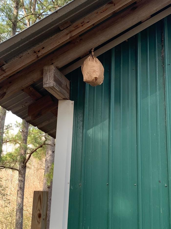 Fake hornet nest. Carpenter bee damage is visible just above the paper bag.