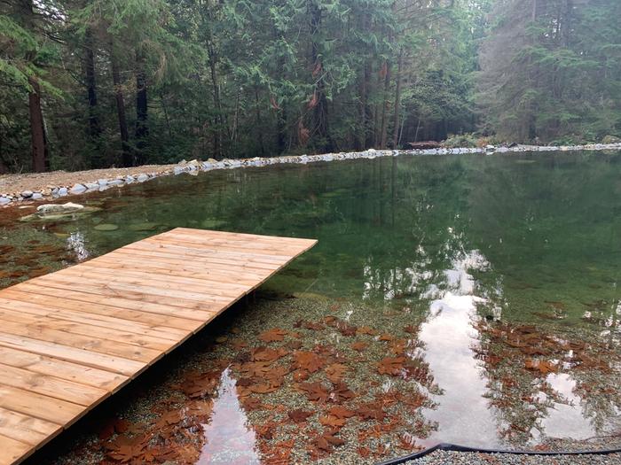 lake and pier