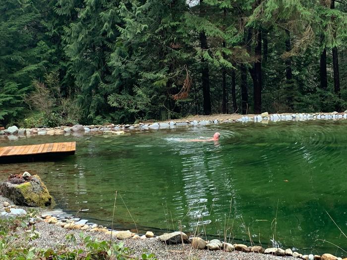 lake, pier, and swimmer