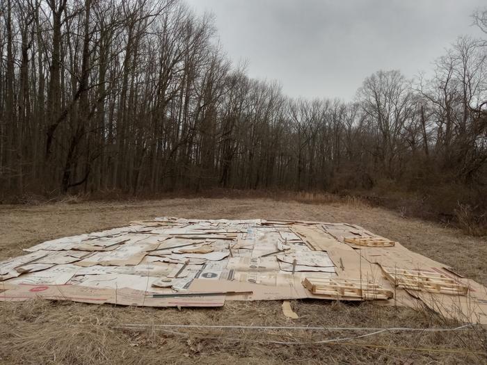 Occultating my main growing space with cardboard