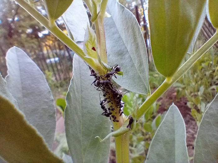 [Thumbnail for 20240530_194657.jpg]