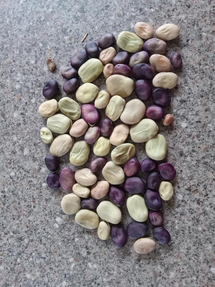 [Thumbnail for 20240630_131954.jpg]