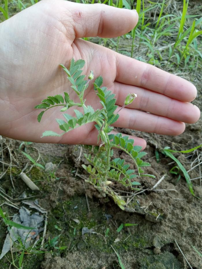 [Thumbnail for 20240530_194046.jpg]