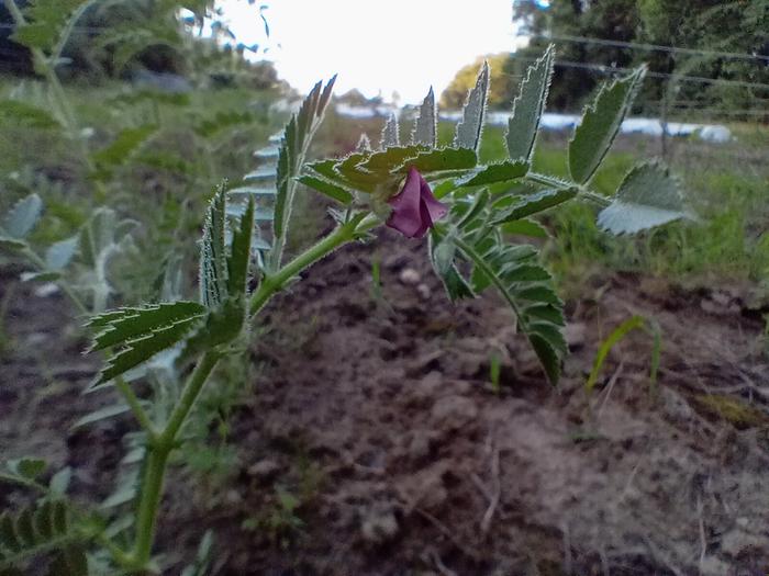 [Thumbnail for 20240530_194023.jpg]