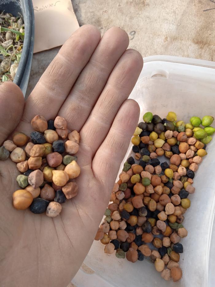 [Thumbnail for 20240715_171037.jpg]