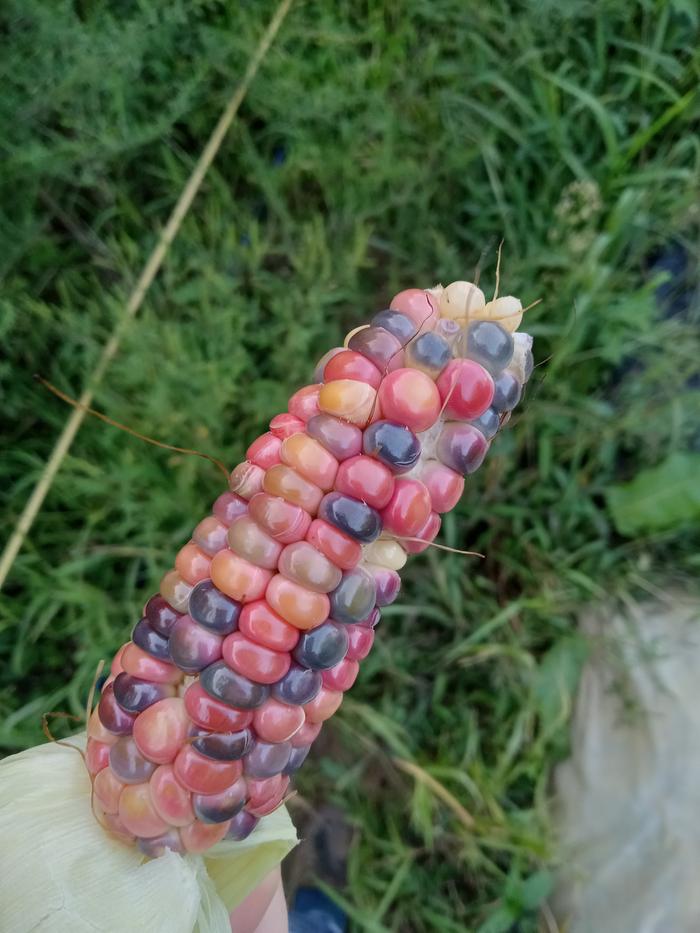 [Thumbnail for 20240909_182908.jpg]