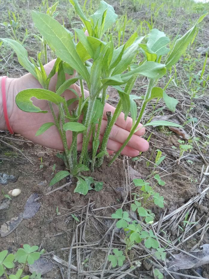 [Thumbnail for 20240530_195234.jpg]