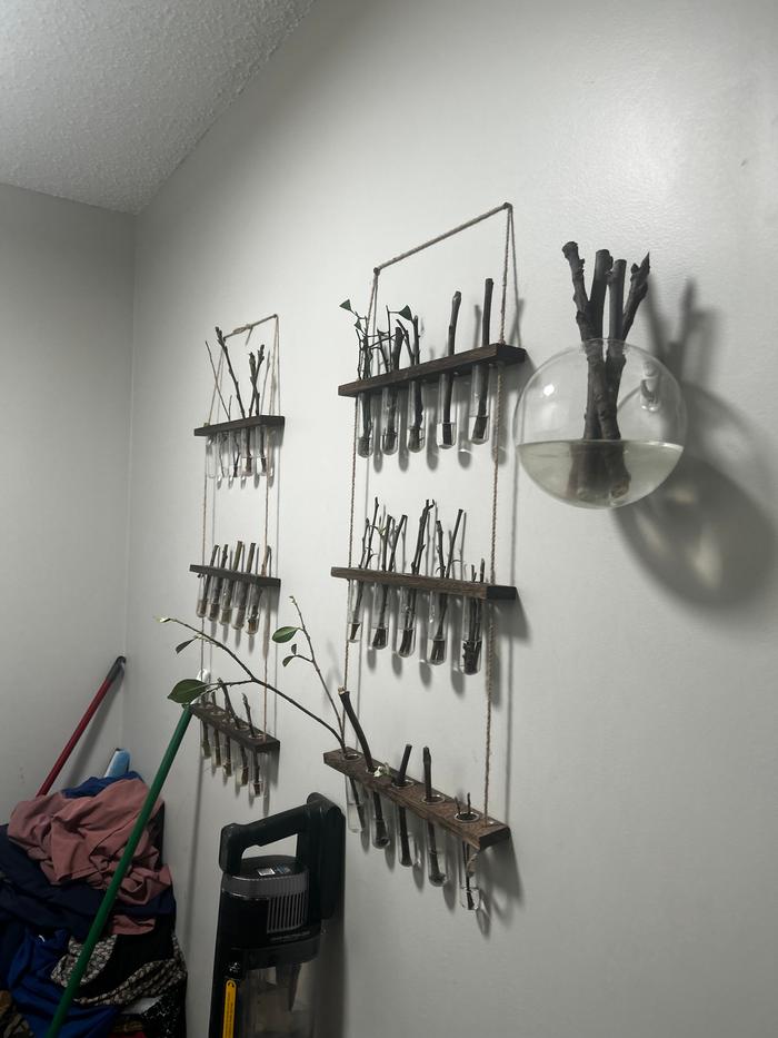 [Thumbnail for IMG_2862.jpeg]