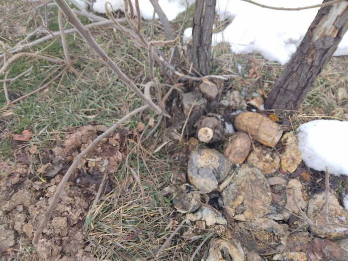 A sort of a hugel, because of the high number of trees that died the past few years